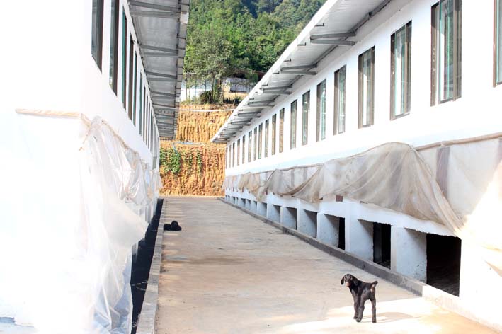 標準化羊舍圍欄